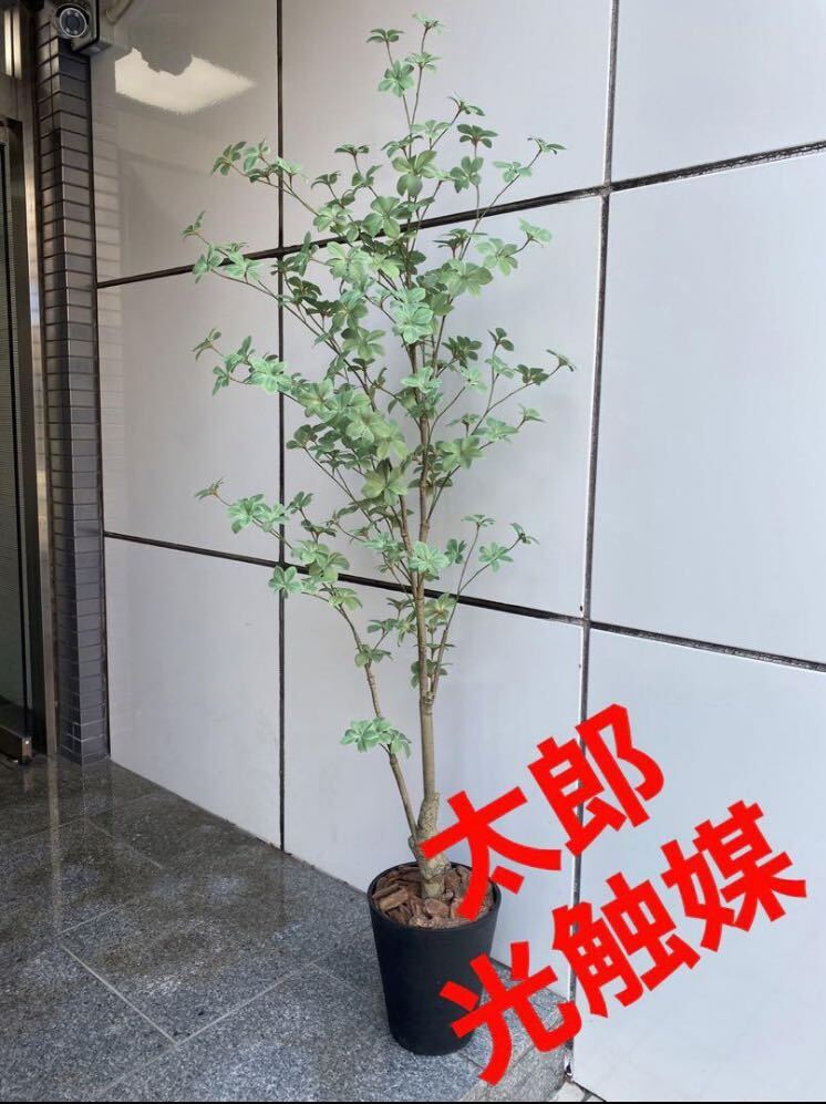 光触媒　人工観葉植物　ウォールグリーン　フェイクグリーン　ドウダン145
