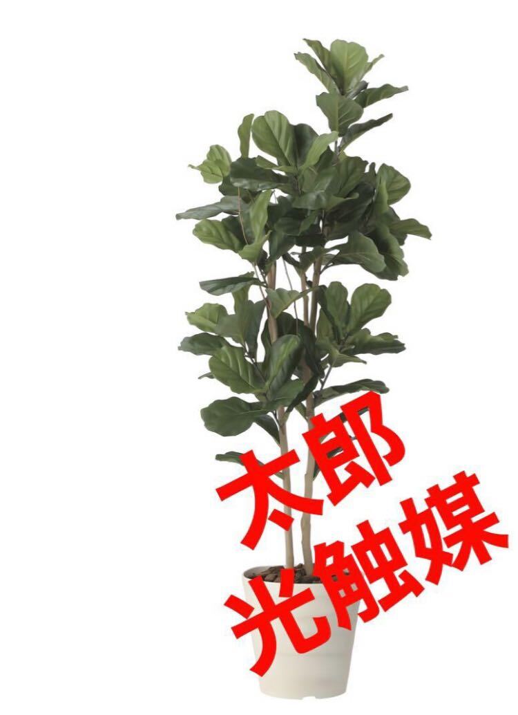 光の楽園 光触媒 人工観葉植物 ウォールグリーン フェイク 光の楽園 光触媒 人工観葉植物 ウォールグリーン フェイク