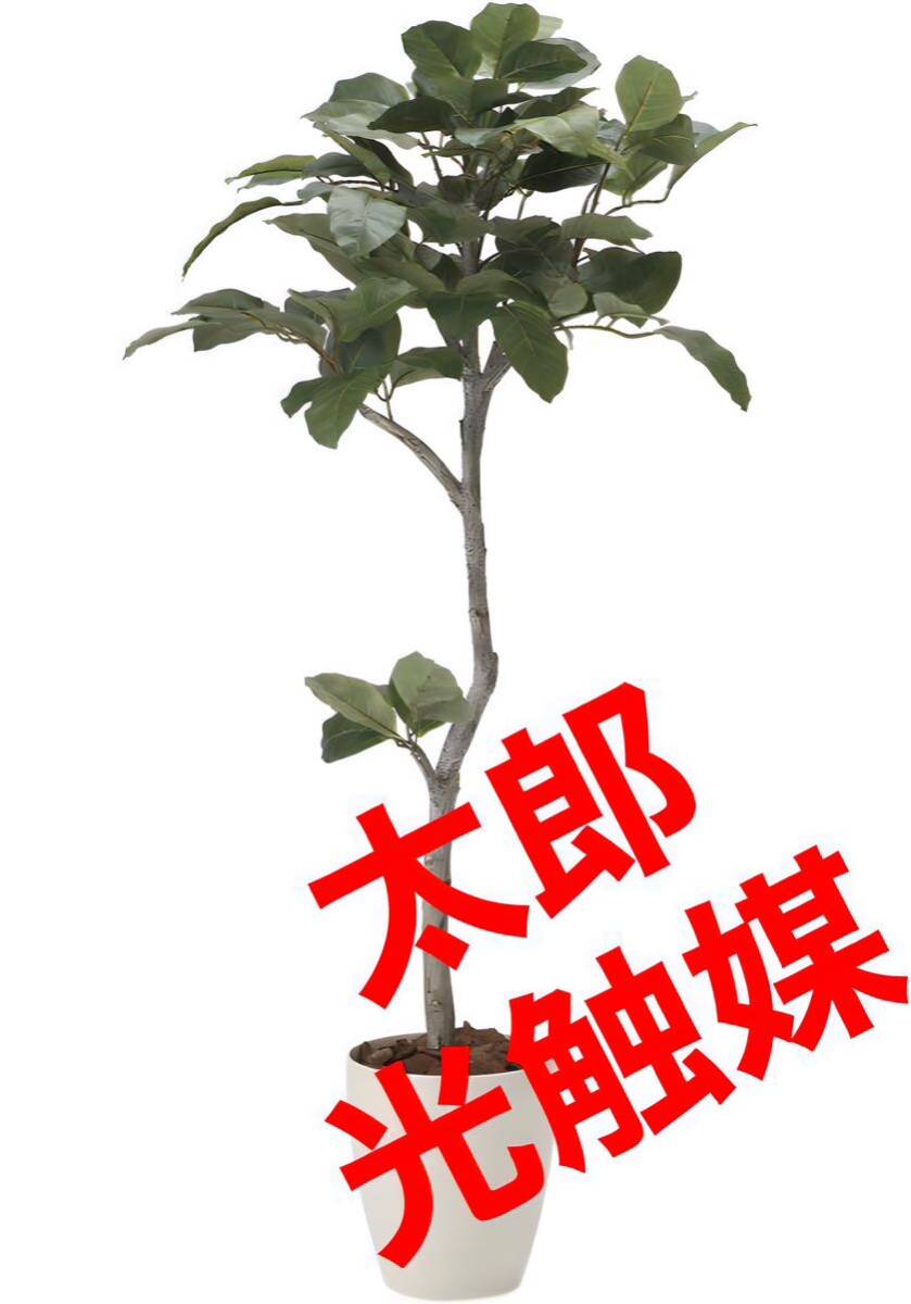 光触媒　人工観葉植物　ウォールグリーン　フェイクグリーン　ベンガル菩提樹1.35_画像1