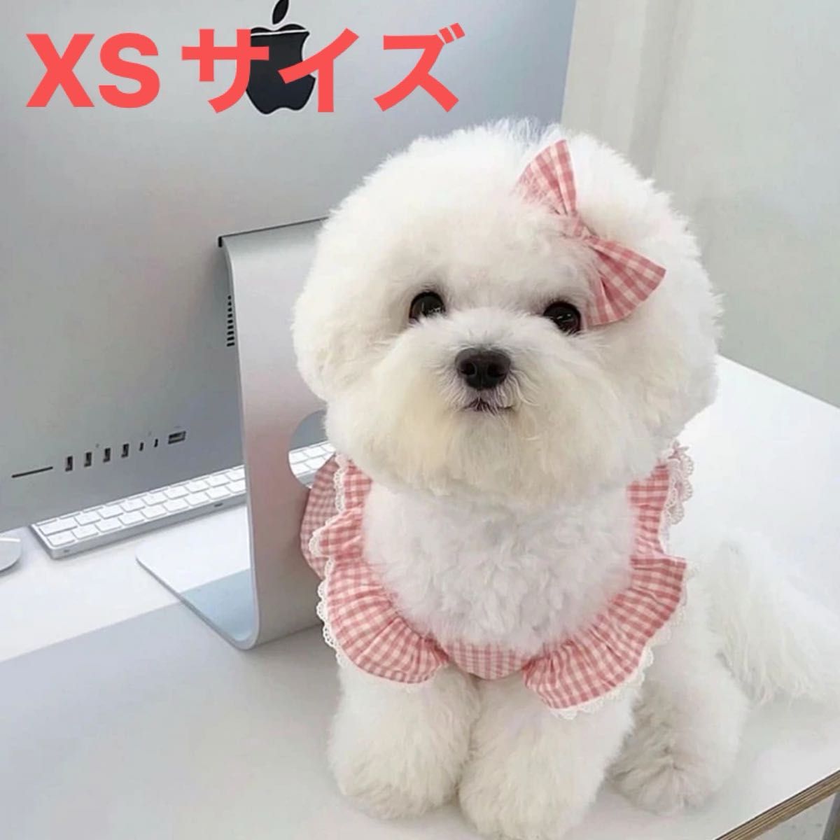 新品　犬　服　ペット服　ピンク　チェック柄　XSサイズ　春夏　ワンピース　ペットウェア