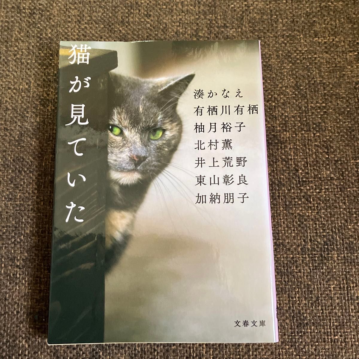 ☆3冊セット☆１００万分の１回のねこ 江國香織／〔著〕　岩瀬成子／〔著〕　くどうなおこ／〔著〕他&猫が見ていた&時の罠