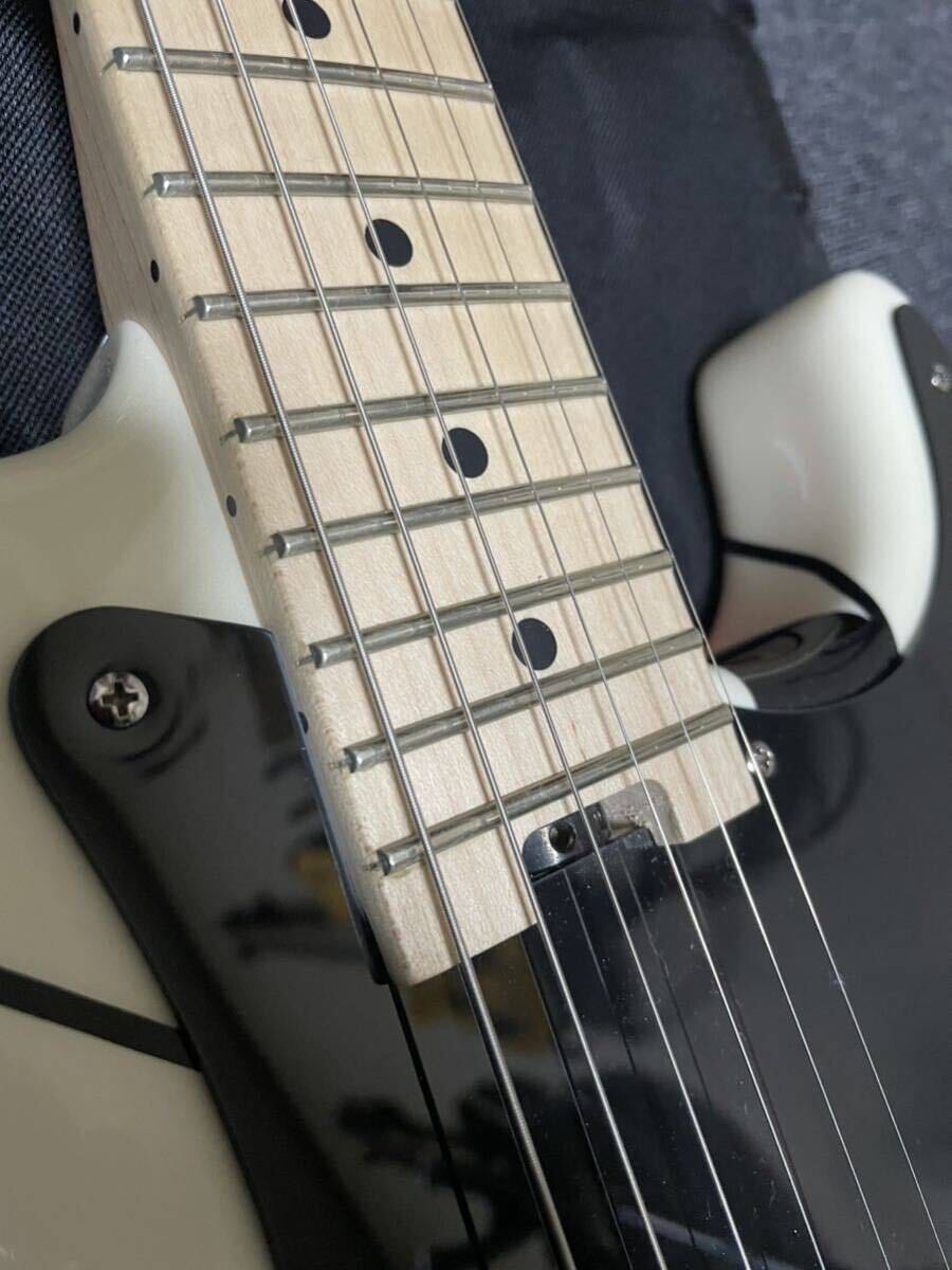 EVH Striped White with Black Stripesの画像3