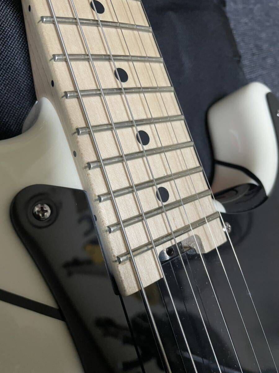 EVH Striped White with Black Stripesの画像4