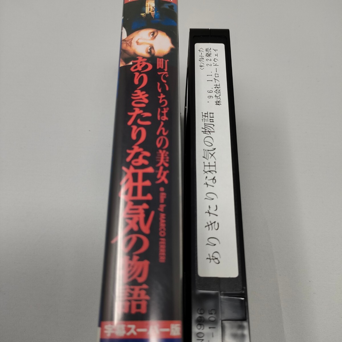 VHS ありきたりな狂気の物語 町でいちばんの美女 サンプル版 字幕版 即決 送料込みの画像2