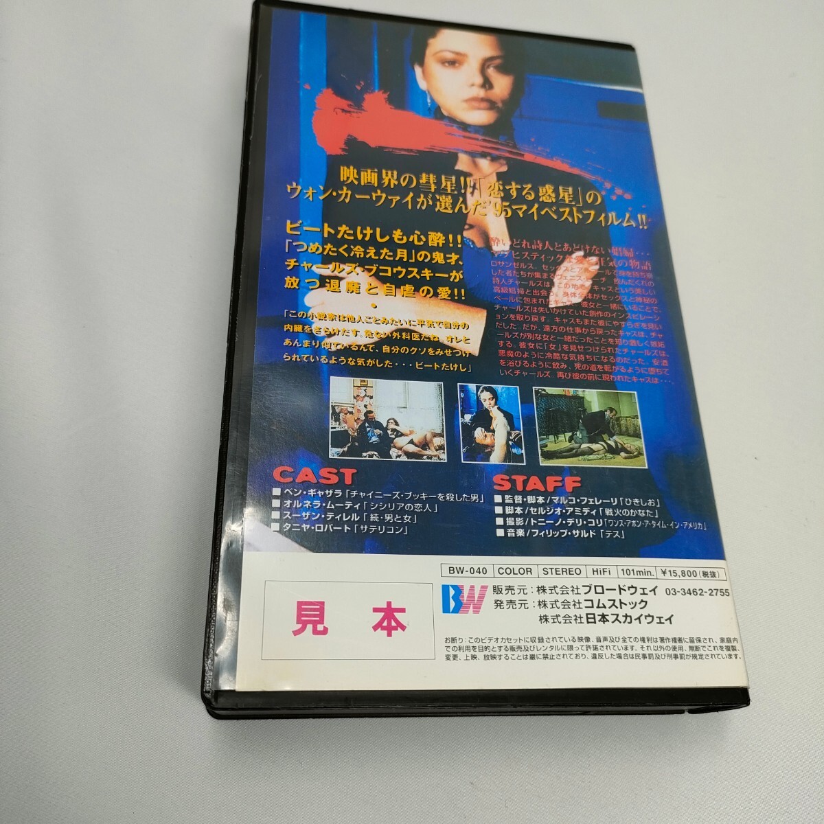 VHS ありきたりな狂気の物語 町でいちばんの美女 サンプル版 字幕版 即決 送料込みの画像4