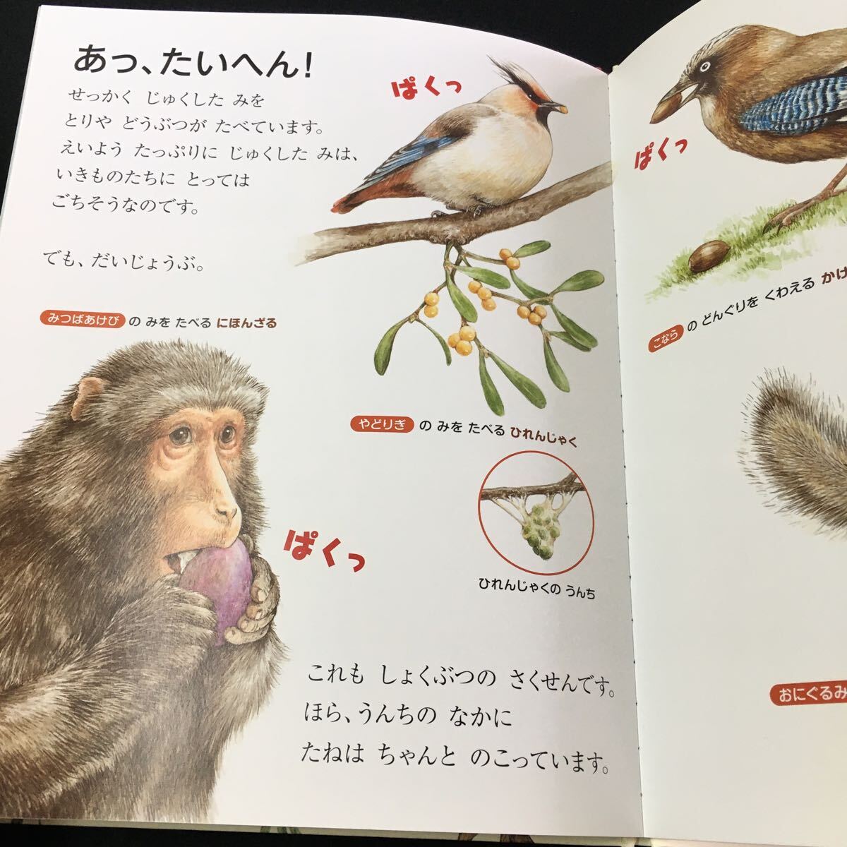 item_image_3