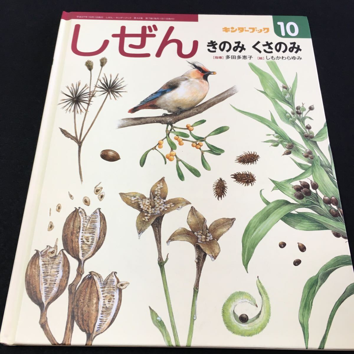 M5e-153 キンダーブック10 しぜん きのみ くさのみ (指導)多田多恵子 (絵)しもかわらゆみ フレーベル館 2015年10月1日 第44集第7編 発行 _画像1