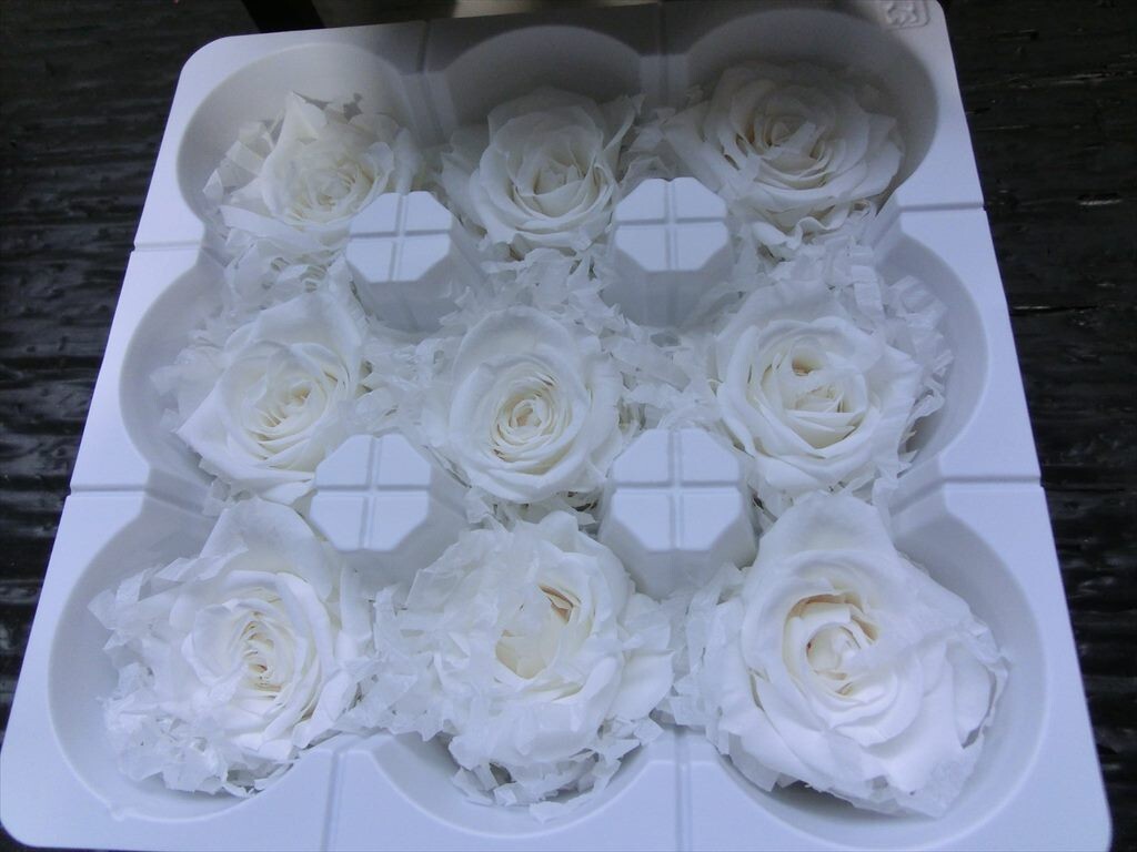 T[R3-60][60 размер ]^ консервированный цветок / earth mata-z/ rose *...9 колесо чисто-белый / роза роза / цветок /* наружная коробка царапина иметь 