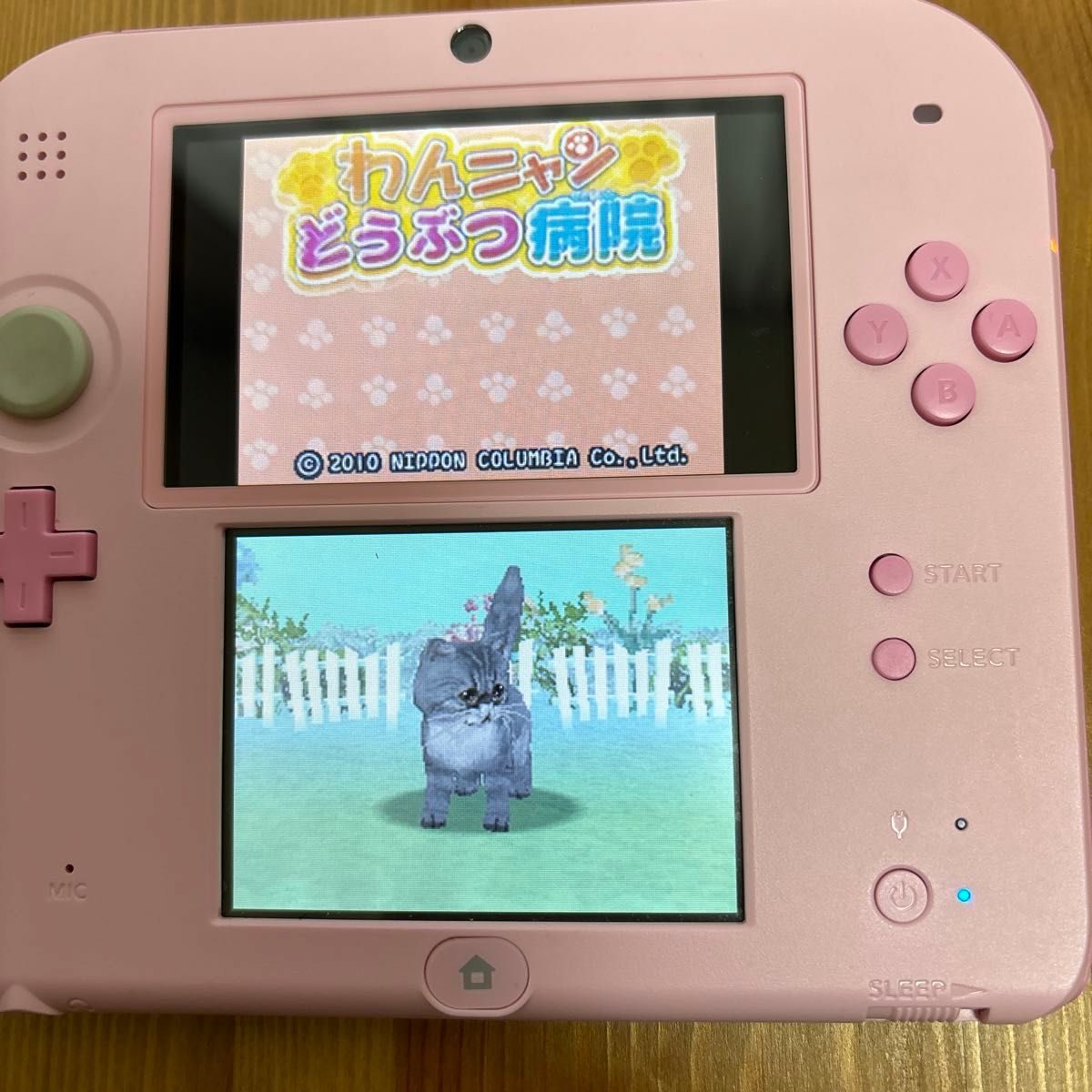 【DS】あこがれガールズコレクション わんニャンどうぶつ病院　