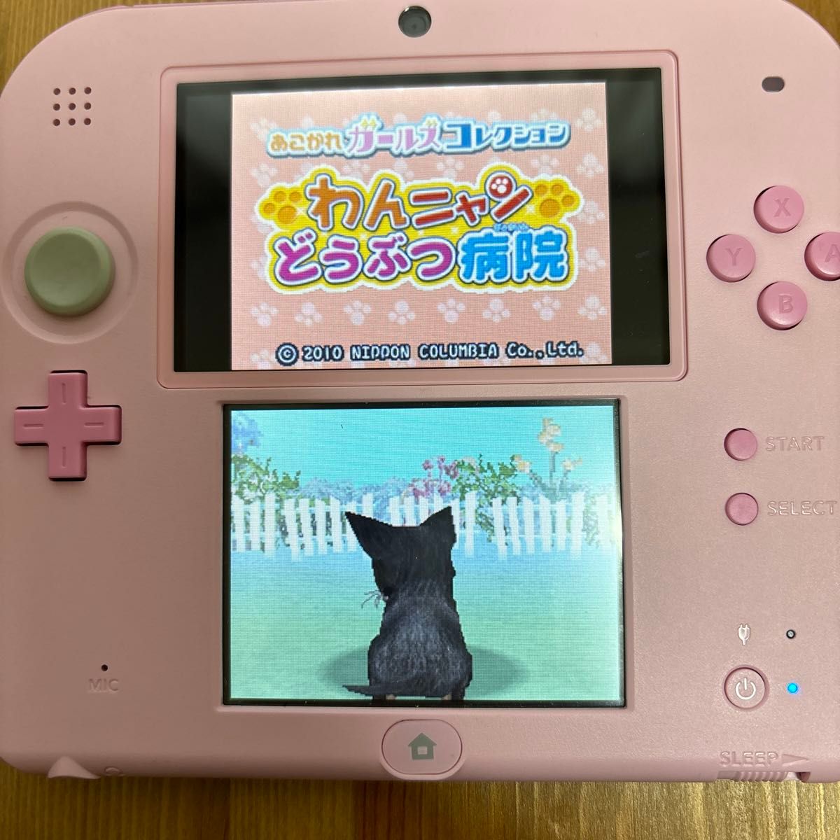 【DS】あこがれガールズコレクション わんニャンどうぶつ病院　