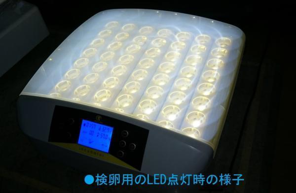 ふか器　LED56孵化器　孵卵器　検卵機能付き　転卵機能付き　インキュベーター_画像5