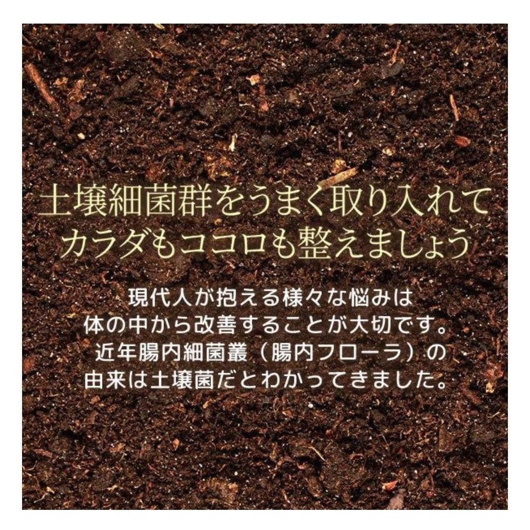 SOIL cure ソイルキュア　さしくさカプセル（30粒入り/30日分）1袋　新品