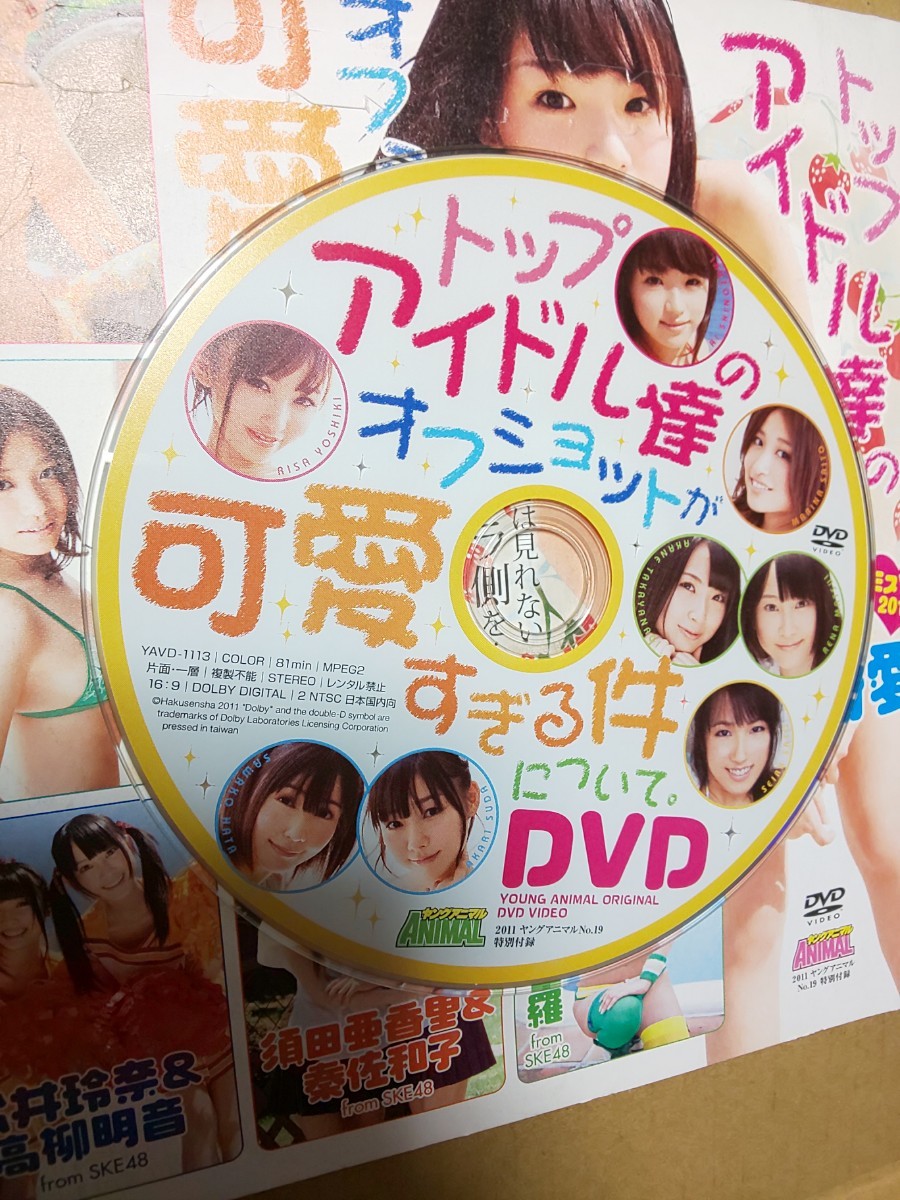 ヤングアニマル 2011年 No.19 DVD 篠崎愛 吉木りさ 斎藤眞利奈 松井玲奈 高柳明音 須田亜香里 秦佐和子 佐藤聖羅 _画像3