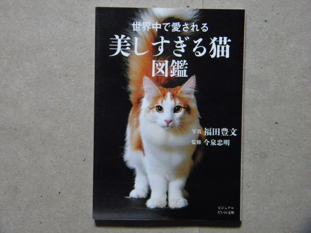 * мир среди love быть прекрасный .... кошка иллюстрированная книга * visual ... библиотека / Yamato книжный магазин *