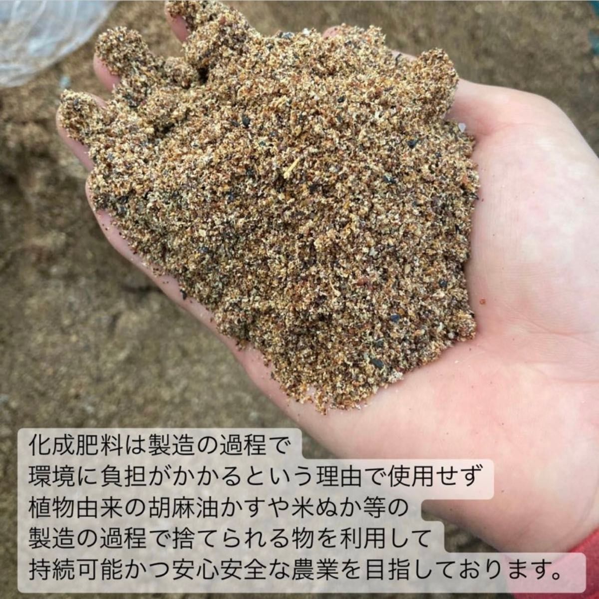 【無農薬】健康番茶！春番茶パウダー100g(約100杯分) 化学肥料・除草剤・畜産堆肥不使用　