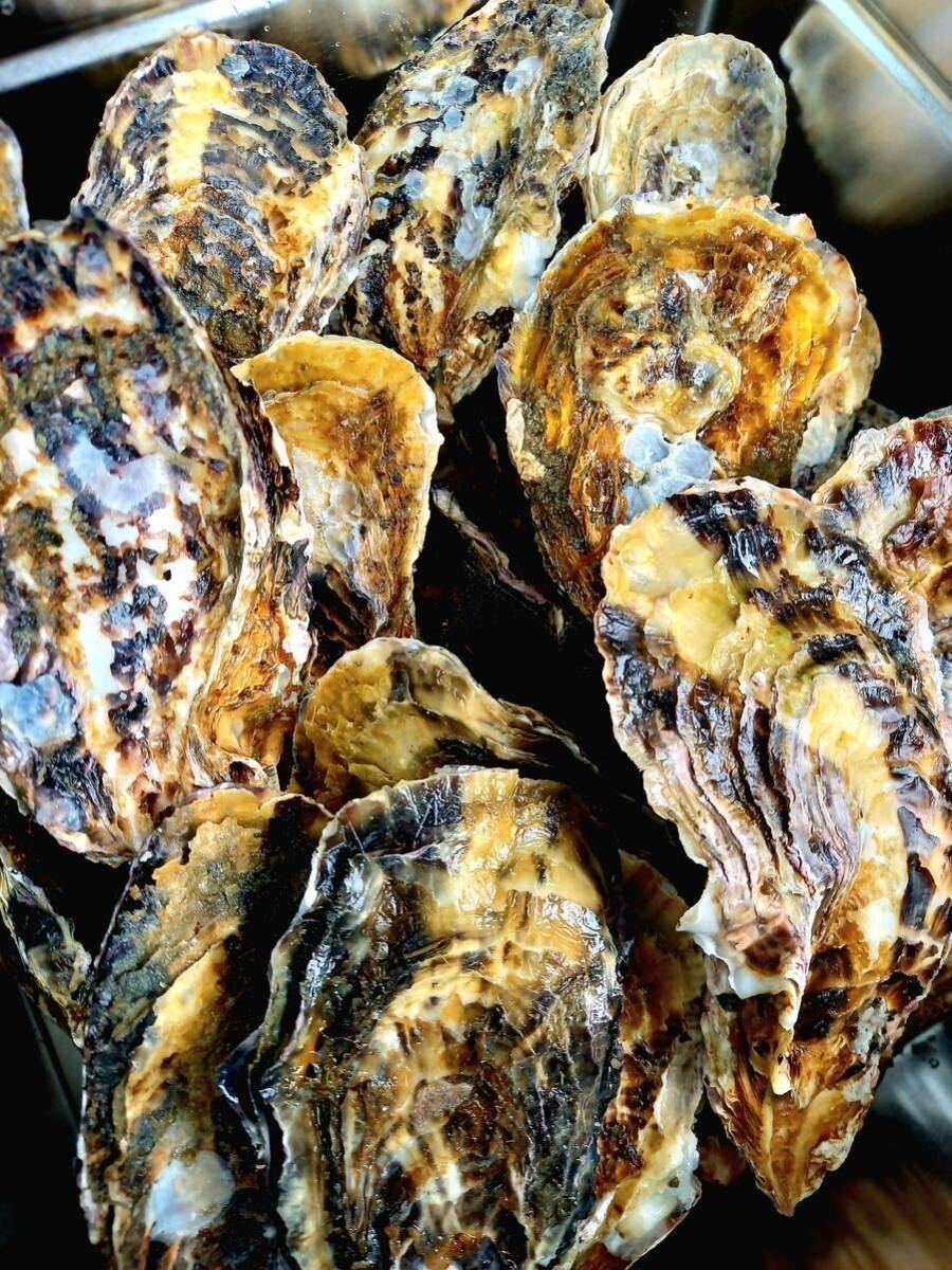 鳴門内の海産殻付き生牡蠣カンカン焼き（1.5キロ、加熱用、送料無料）の画像2