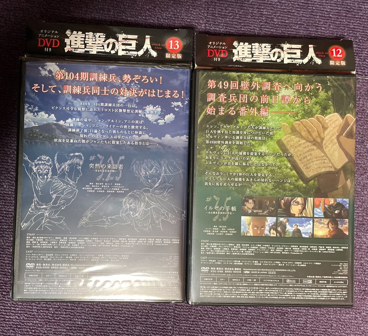 進撃の巨人 突然の来訪者 イルゼの手帳 DVD オリジナルアニメーション