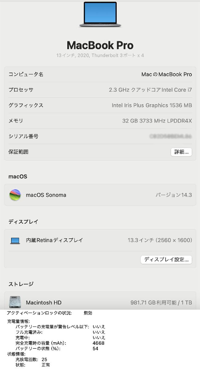 1円スタート カスタム MacBook Pro 13 2020 A2251 Core i7 2.3GHz 32GB 1TB 日本語 中古品 3-2 スペースグレイ マックブックプロ_画像6