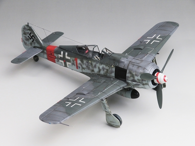 ( final product )1/48 Focke-Wulf Fw190A-8/R2