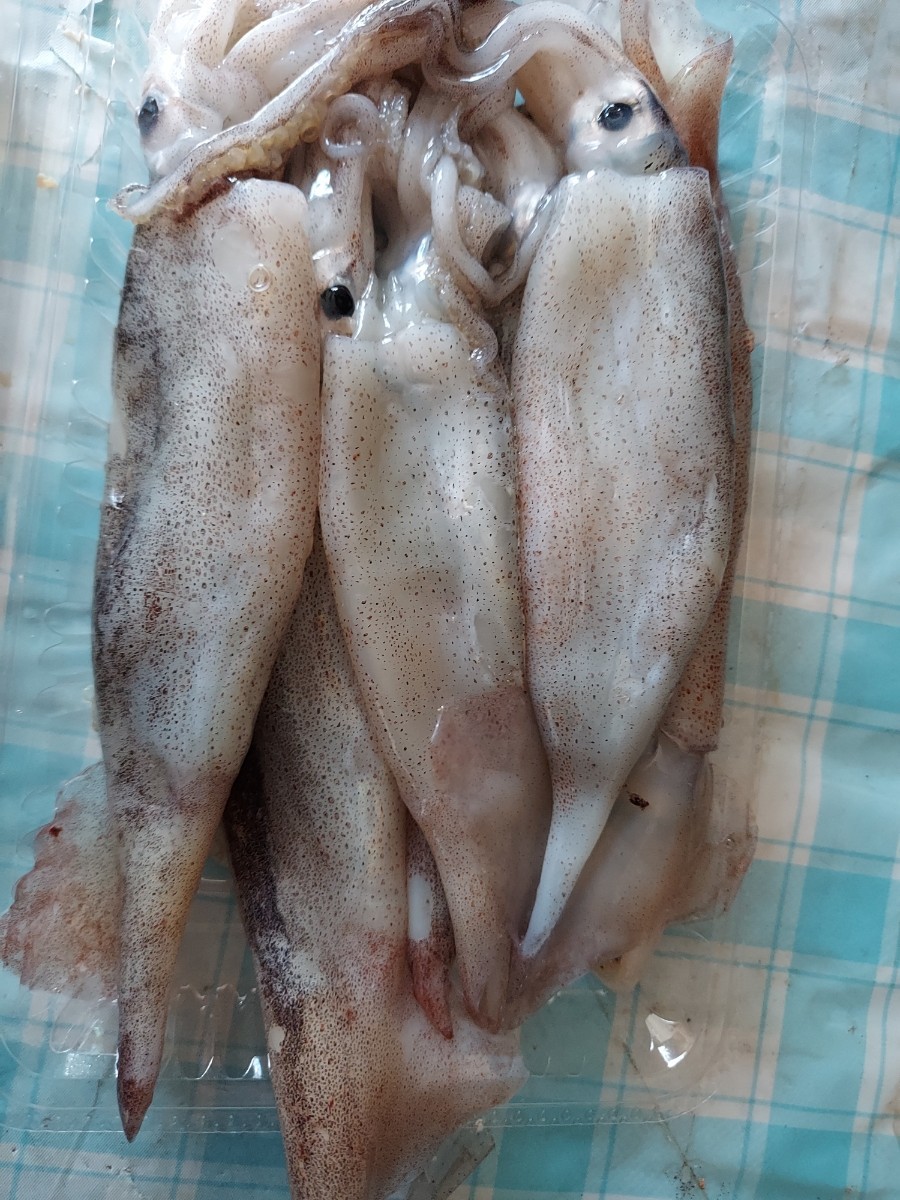  small small Pacific flying squid ( trunk length 12~13cm5~6 pcs )250g598 jpy prompt decision 