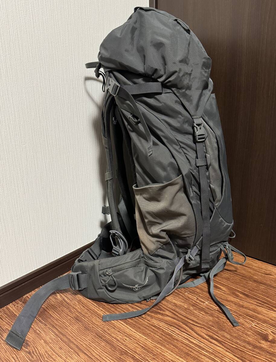 ■オスプレー ケストレル48 ピコリーヌグリーン M/Lサイズ /Osprey KESTREL バックパック ザック 登山 テント泊■の画像3