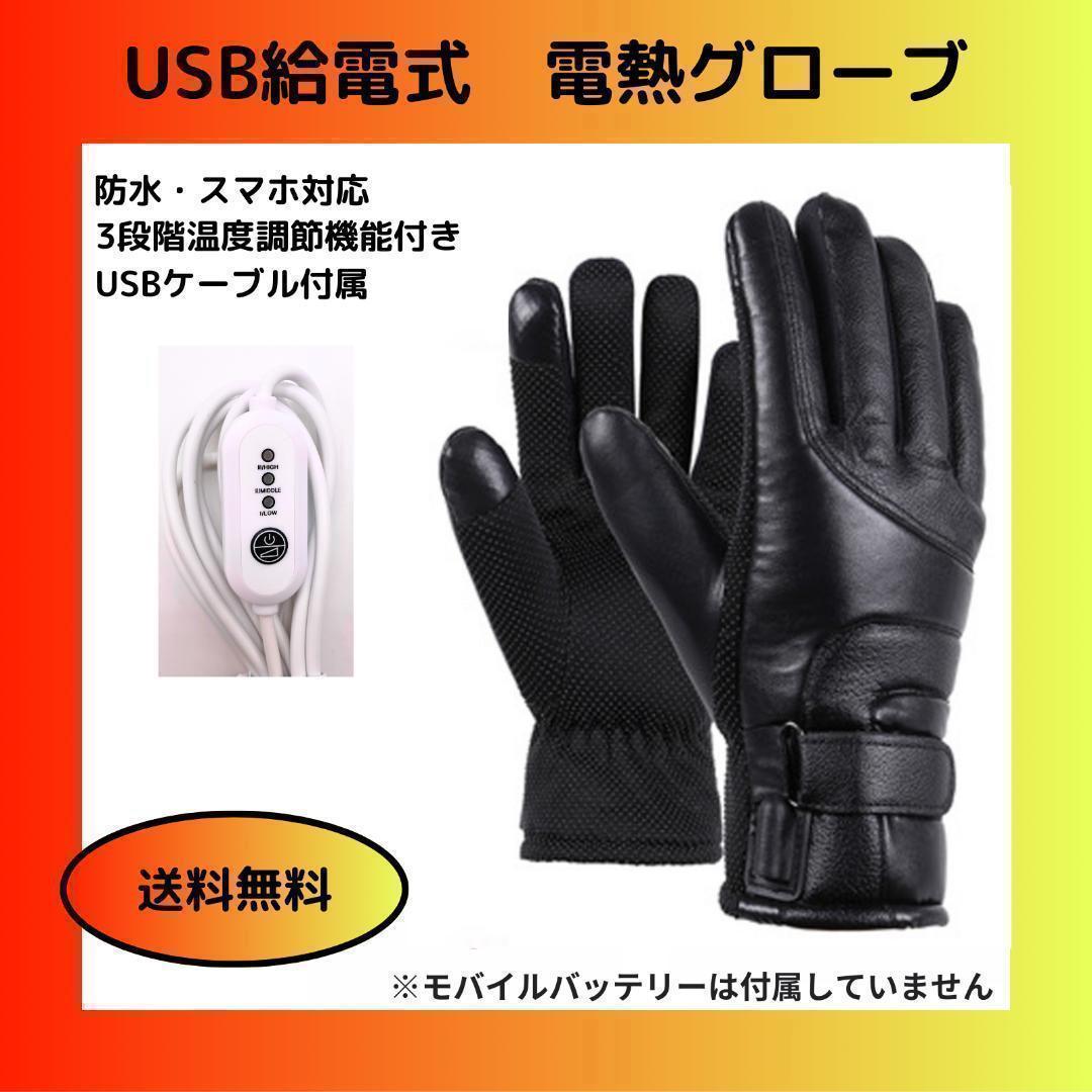 【値下げ！】電熱グローブ USB充電 防水 手袋 バイク 自転車 充電 USB_画像1