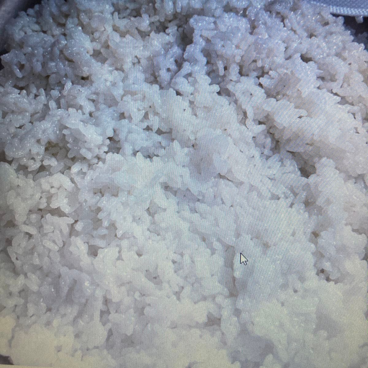農薬・化学肥料不使用 萌え米「にじのきらめき」R5年産　白米5kg　群馬県