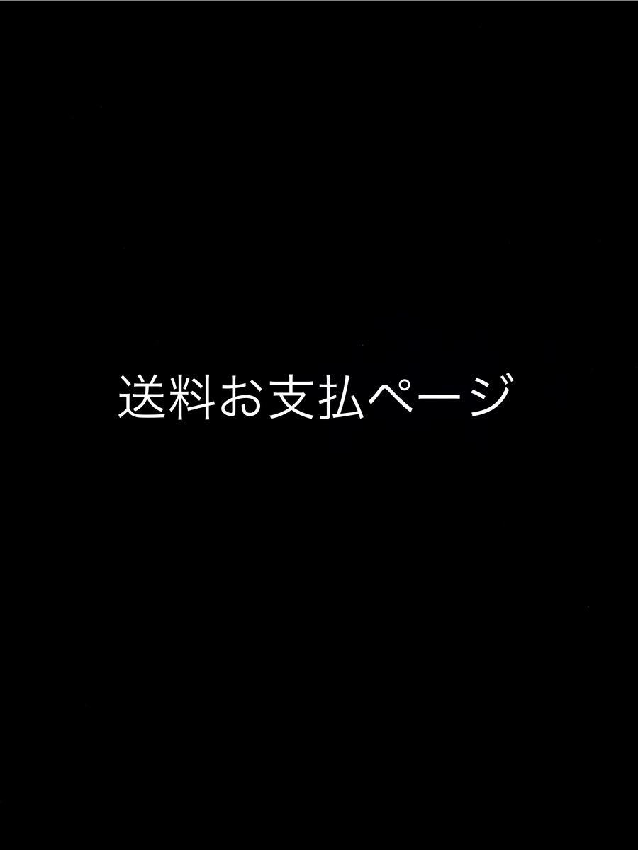 送料お支払ページの画像1