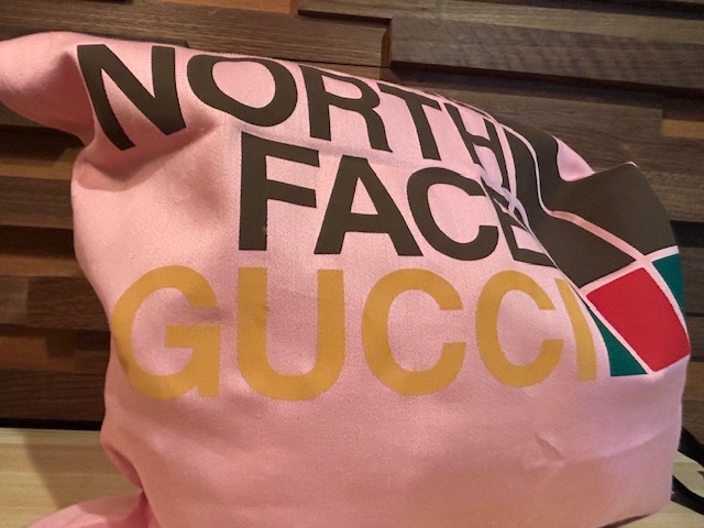 ♪送料無料★GUCCI × THE NORTH FACE★巾着★グッチ × ノースフェイス★バッグ★希少 非売品★ピンク★検索 パーカー レギンス adidas♪_画像2