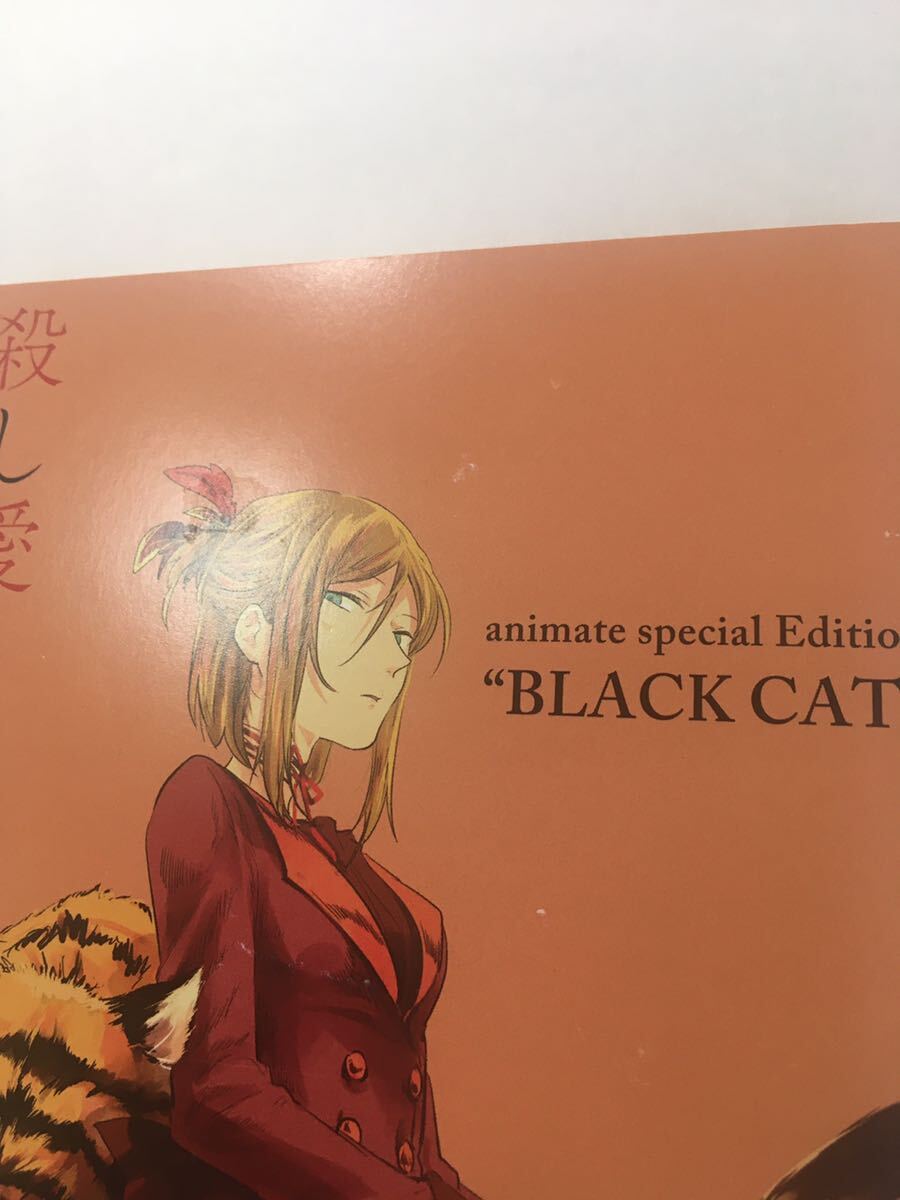 ★Fe 殺し愛 4巻 アニメイト特典　限定版　小冊子　限定版コミック　animate special Edition BLACK CAT_画像3