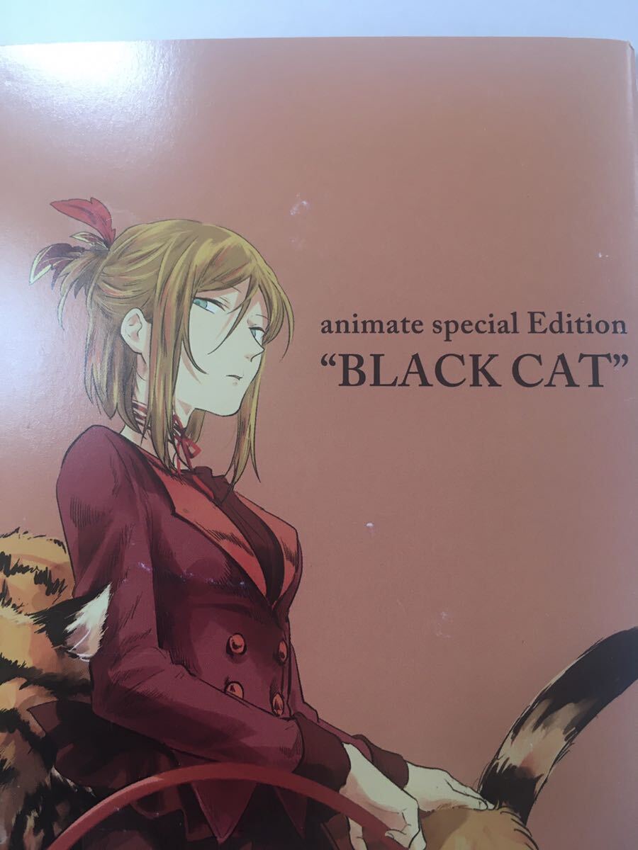 ★Fe 殺し愛 4巻 アニメイト特典　限定版　小冊子　限定版コミック　animate special Edition BLACK CAT_画像5