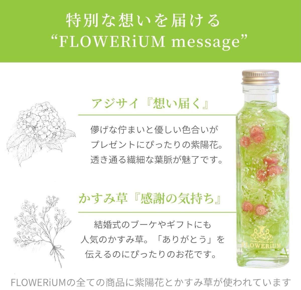 【新品・未使用】フラワリウム 日本製 手作り 室内で楽しめる花のある暮らし (スプリンググリーン) ハーバリウム ハンドメイド