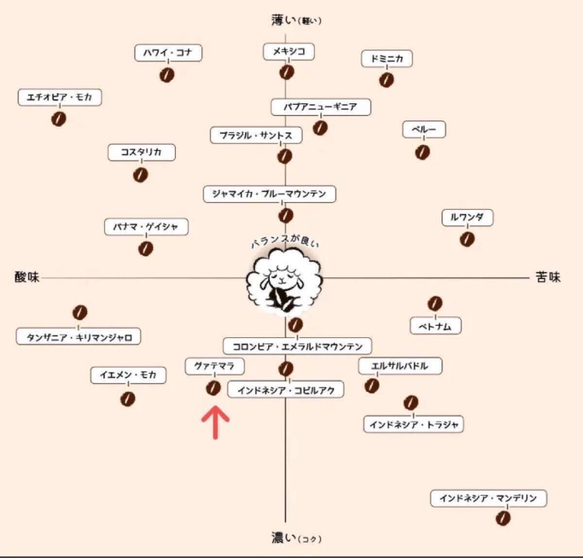 コーヒー香様専用です。こだわりコーヒー豆　グアテマラSHB ウエウエテナンゴ　500g 中深煎り　自家焙煎珈琲プレミアムQグレード