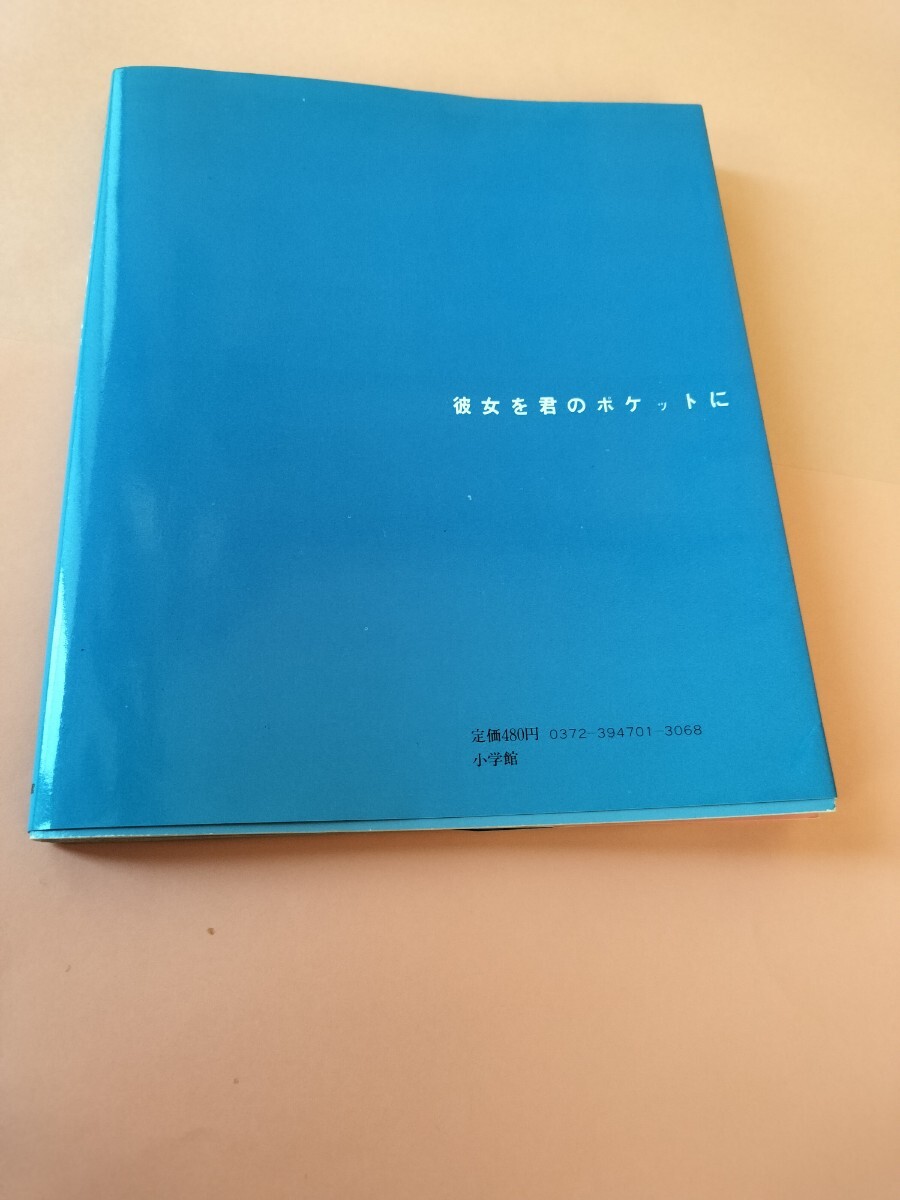 激写文庫　石井めぐみ写真集「そっと」昭和57年初版第一刷発行_画像7