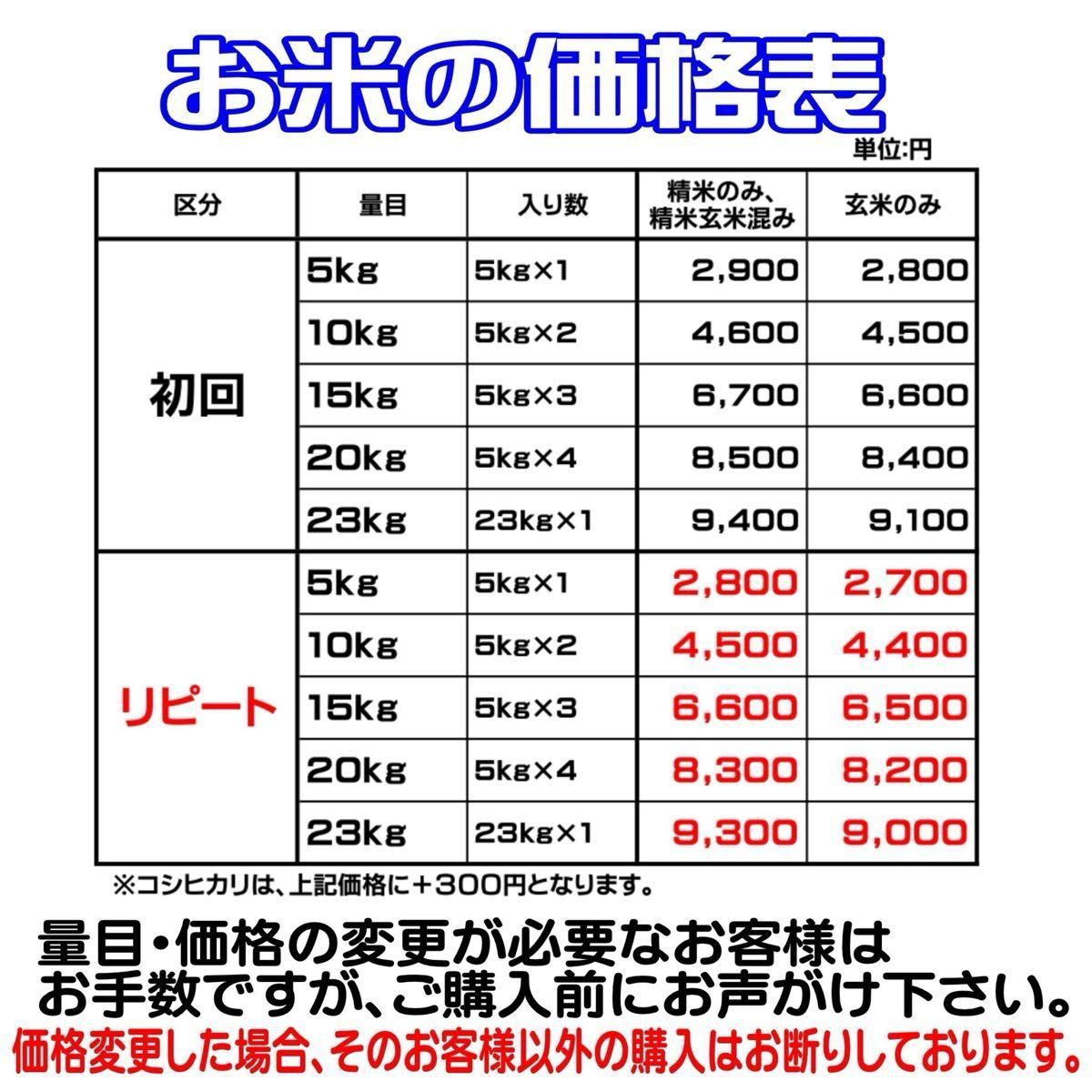 お米　もち米　１０ｋｇ　ふわふわお餅のわたぼうし!　令和5年産　お米