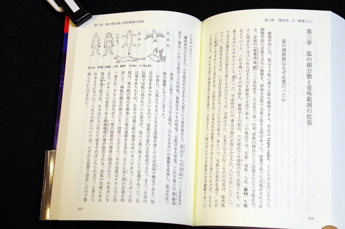 即決！★「狐付きと狐落とし」★中村禎里著　なぜ霊力を持つ狐が人に憑依するか　現象・症例など満載　不思議な動物信仰の真相　江戸の稲荷_画像7