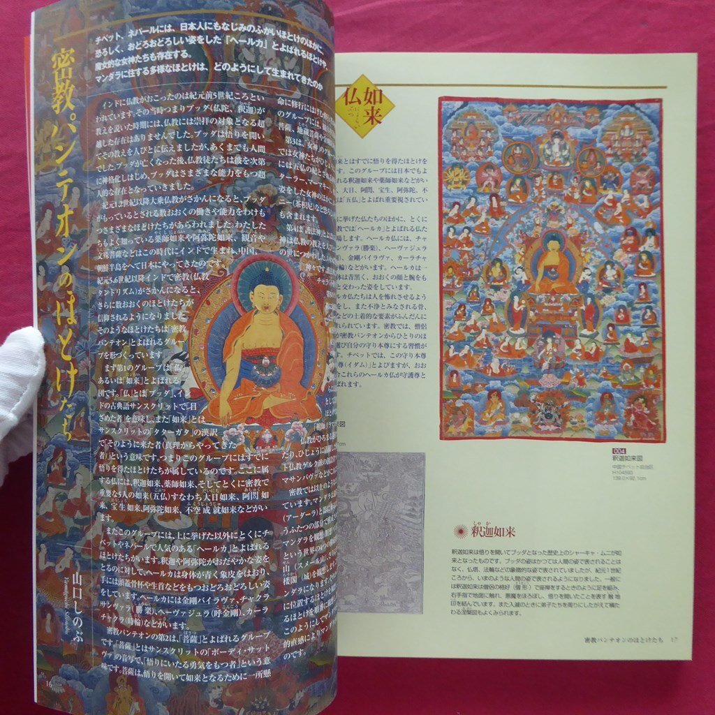 k2【マンダラ-チベット・ネパールの仏たち/2003年・国立民族学博物館】マンダラとあたらしい自然学_画像6