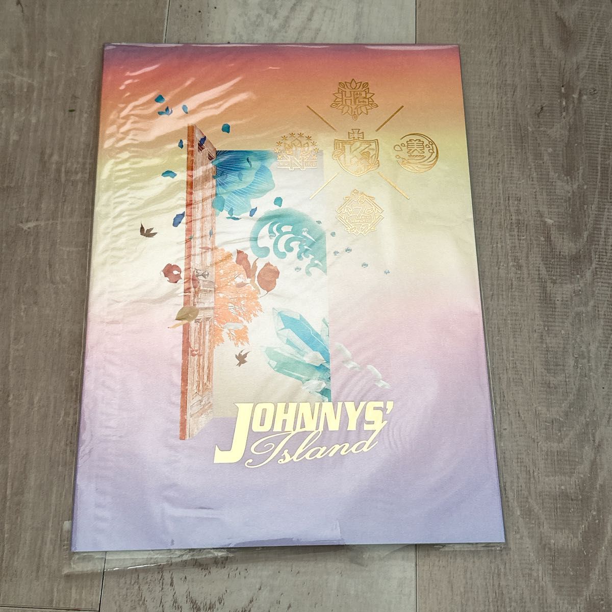 JohnnysISLAND 2019-2020 パンフレット King&Prince 美少年 HiHi Jets