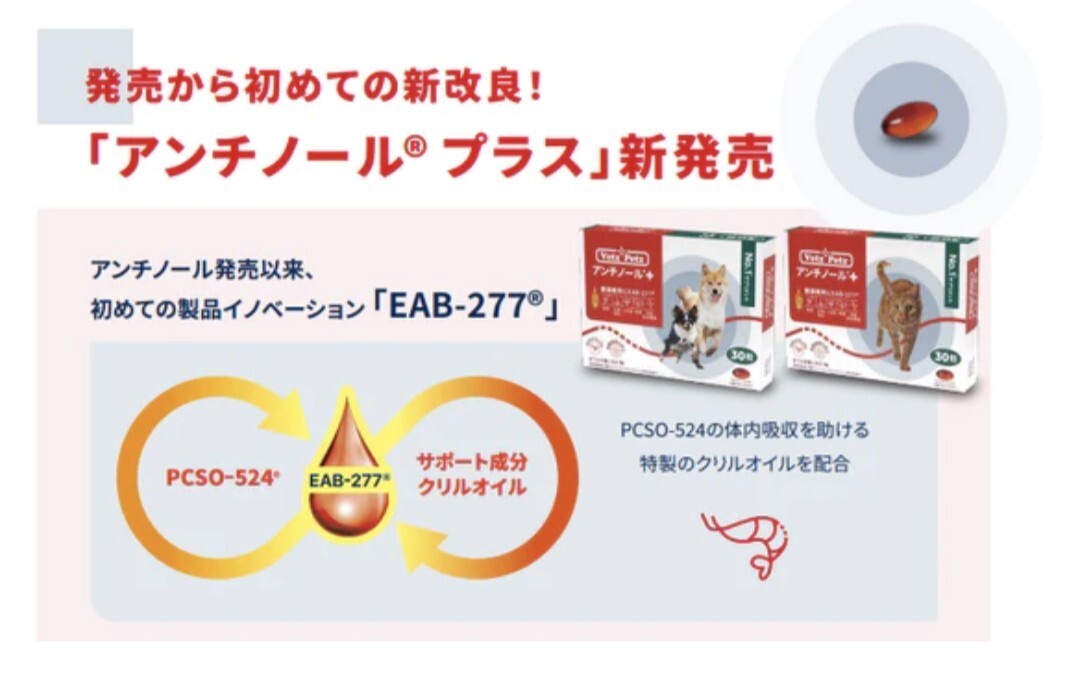 アンチノールプラス　犬用　60粒　サプリメント　関節　皮膚　心臓　腎臓_画像2