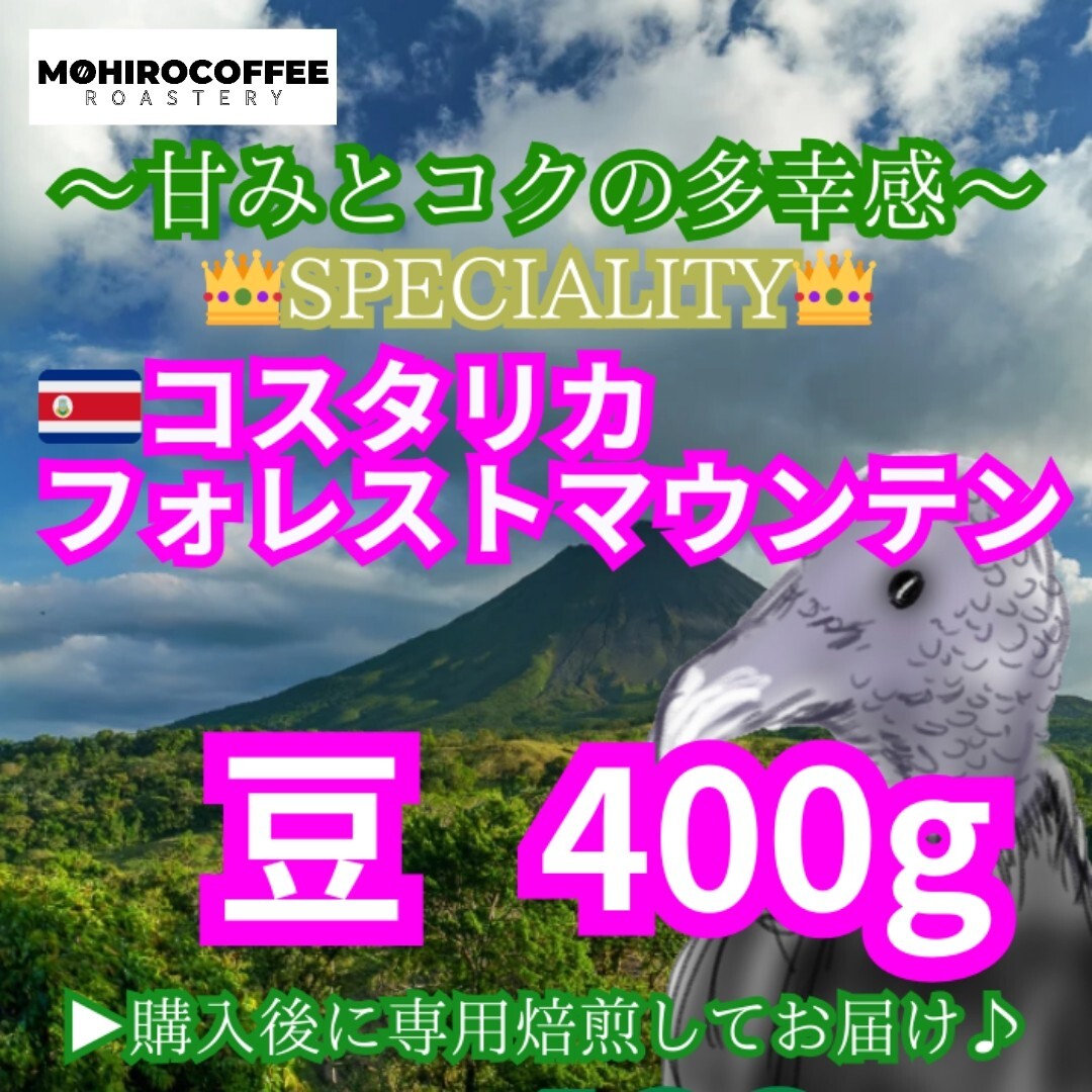 【豆】 コスタリカ フォレストマウンテン 生豆時 400g コーヒー 珈琲 自家焙煎 コーヒー豆 スペシャルティコーヒー