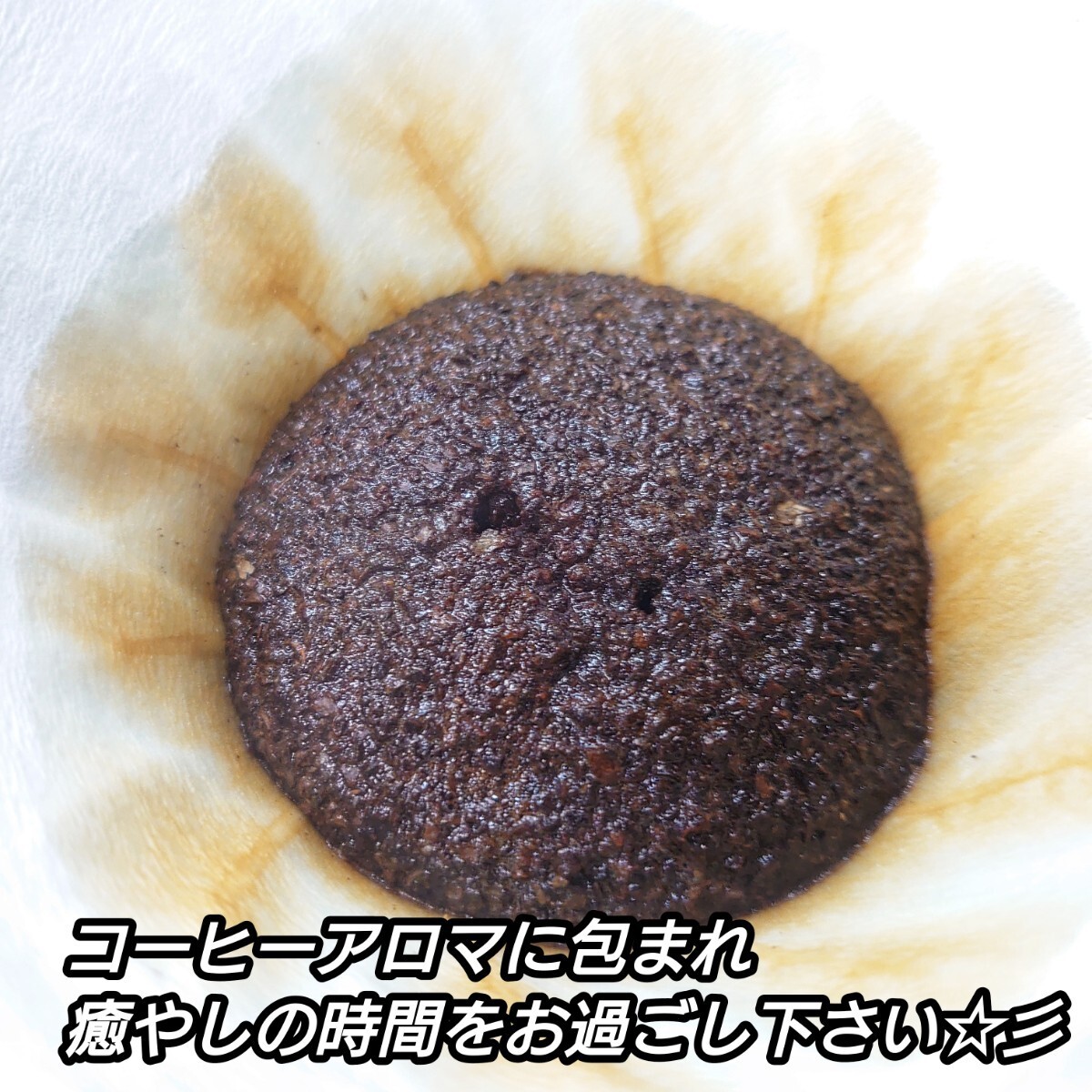 【粉】 コスタリカ フォレストマウンテン 生豆時 200g コーヒー 珈琲 自家焙煎 コーヒー豆 スペシャルティコーヒー