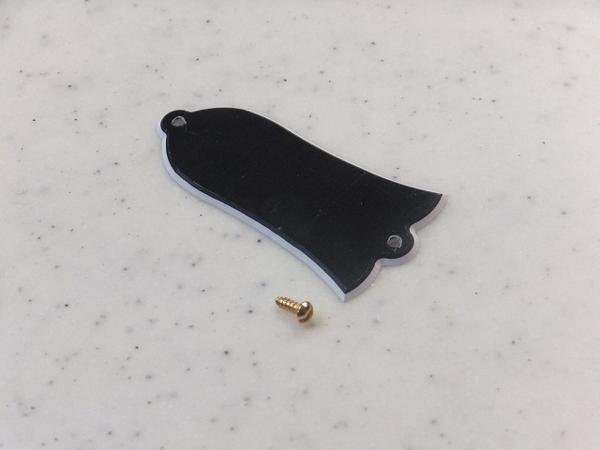 米国S&M社 Truss Rod Cover Screw Gold (マイナスネジ2.5mm)_カバーと撮影したネジは2.18ｍｍになります