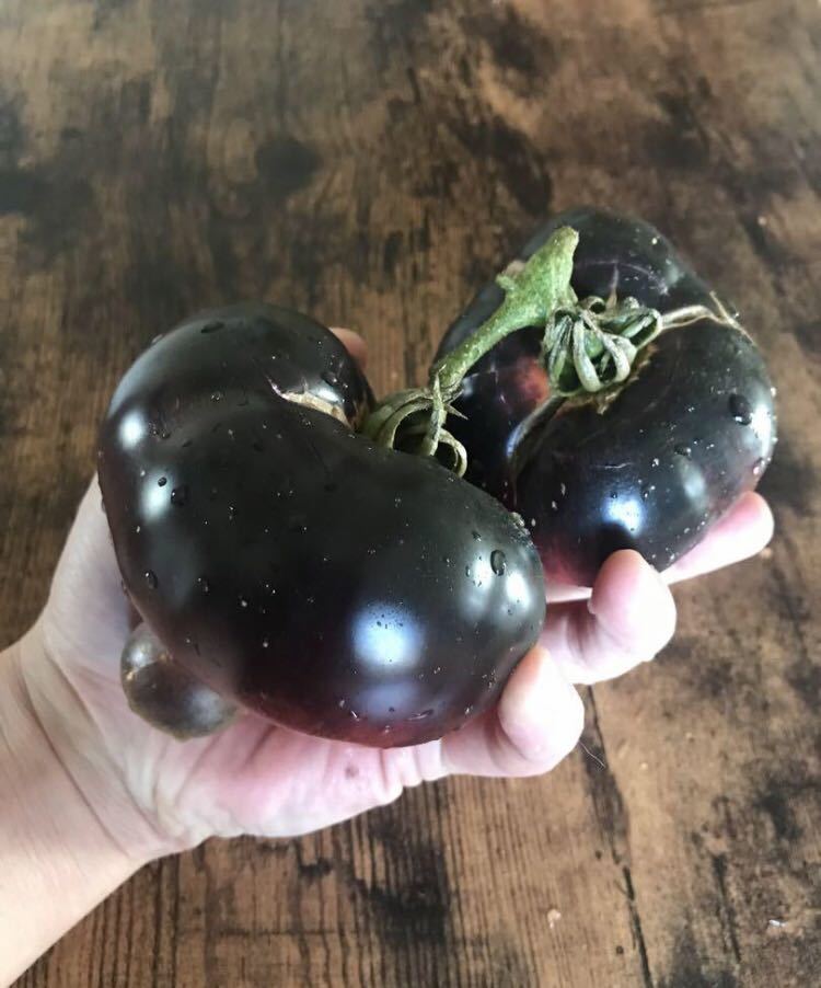 Black Beauty Tomato ブラックビューティートマトの画像1