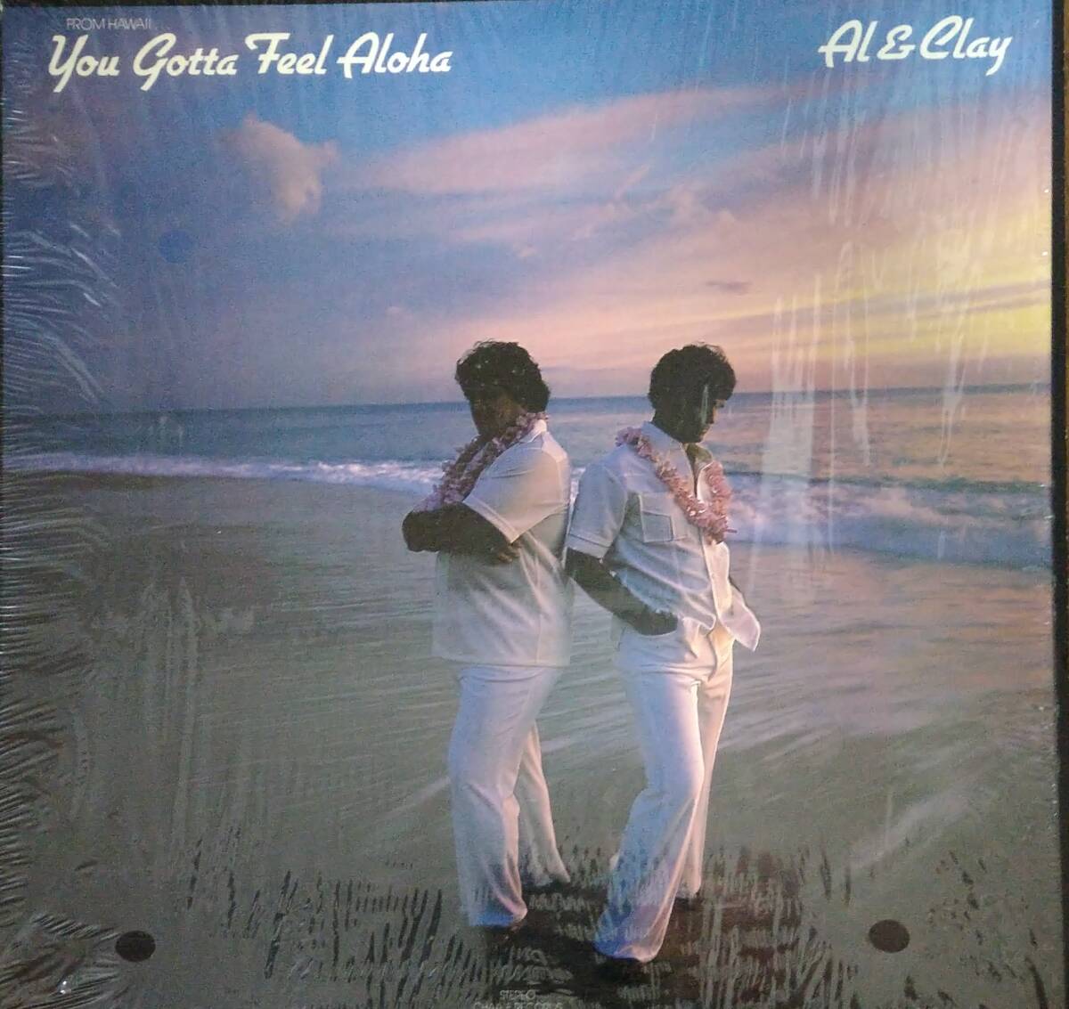 Al & Clay「You Gotta Feel Aloha」LP レコード Hawaiian AOR Light Mellow_画像1
