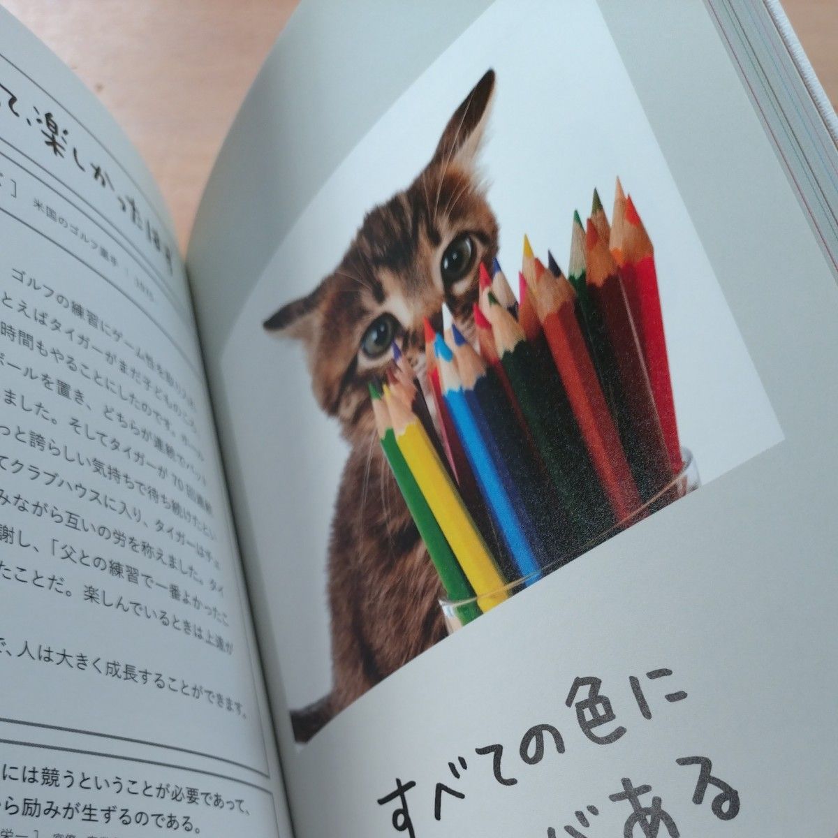 人生はニャンとかなる！　明日に幸福をまねく６８の方法 水野敬也／著　長沼直樹／著　文響社