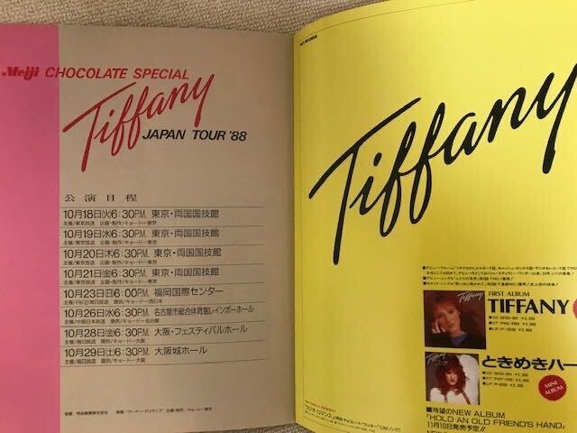 TIFFANY Tiffany Japan .. pamphlet program JAPAN TOUR PROGRAM pamphlet/ photoalbum booklet CD not for sale not for sale/ singer singer