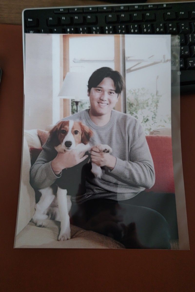日本未発売 激レア 大谷翔平と愛犬デコピン A4サイズポスター