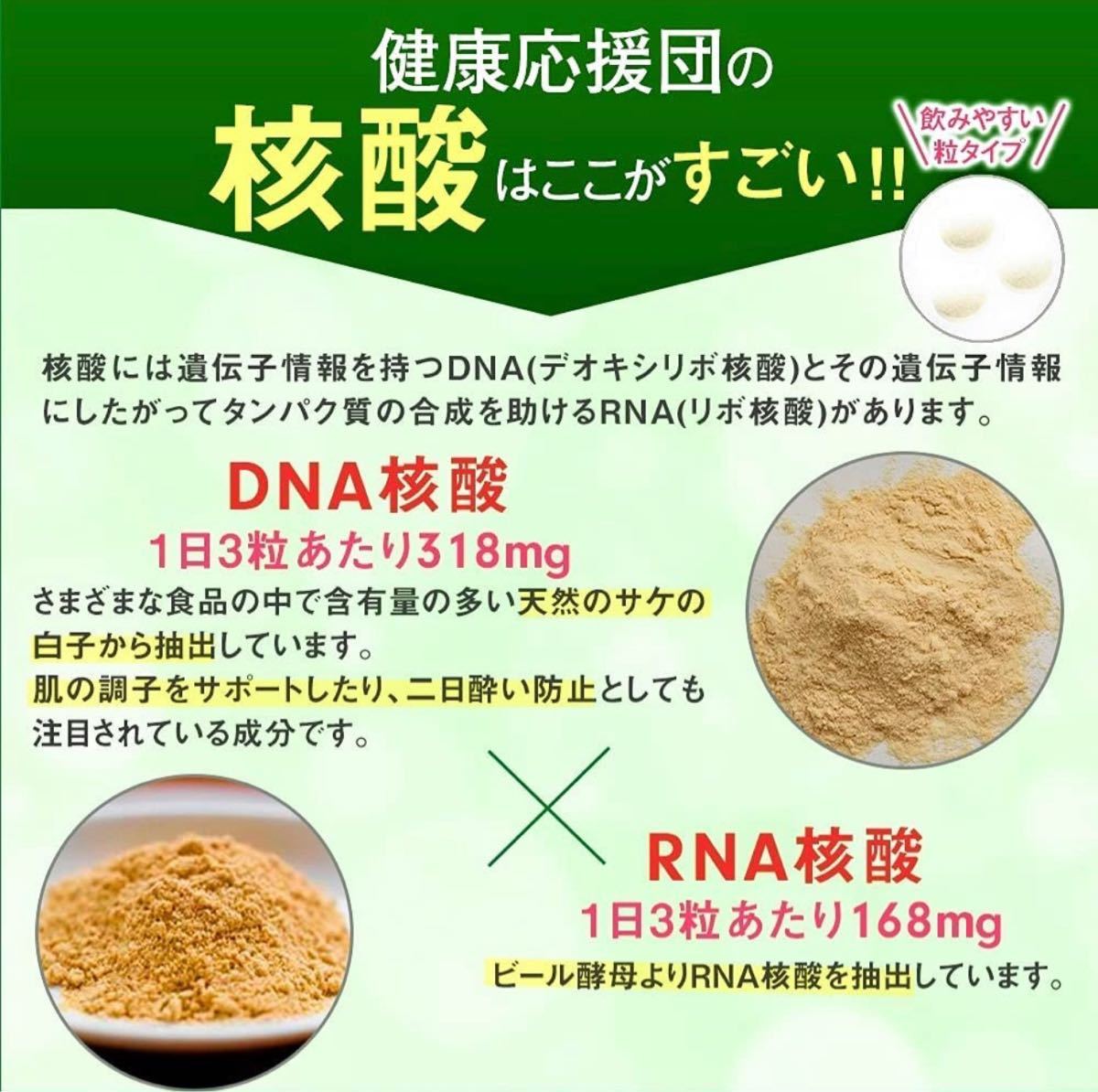 . acid DNA RNA bead 1 months minute supplement health respondent .. supplement grape sugar plus keta soft roe 