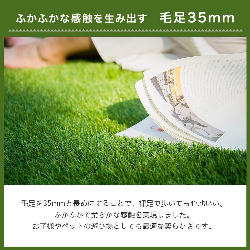 人工芝 ロール 1m×5m 芝丈35mm 密度2倍 高耐久固定ピン付の画像3