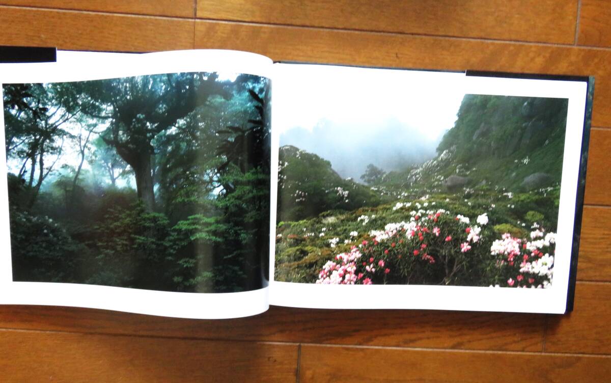 日本の原生林 水越武写真集 岩波書店 1990年 _画像2